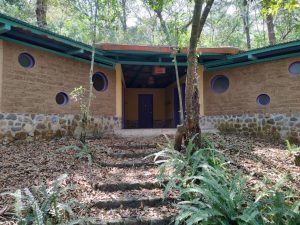 2 Acres of Cloud Forest For Sale