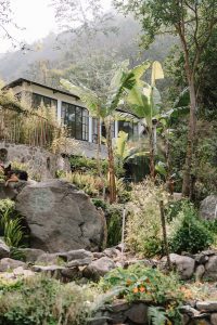 House and Gardens For Sale Tzununa