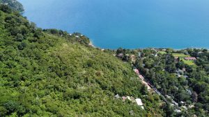 Land For Sale with Road Access Pana