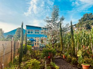 Two Lake Access Houses For Sale 