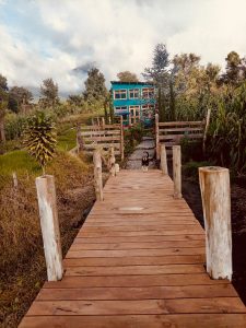 Two Lake Access Houses For Sale 